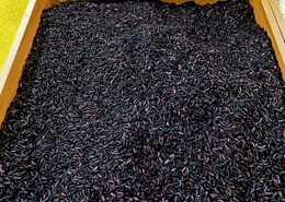 �����ڳ����Č������a��ô�k?