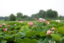 晚上排气多咋回事? 晚上总是放屁的人注意了