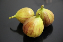 �Զ��˓ε��y������ �Ûθ�y���s�o�@����