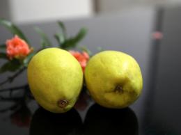 ��ʳ�w�S���׷�ƨ��?���Һܳ�