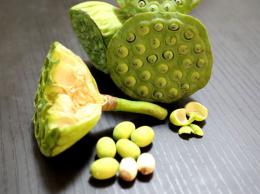 �������̿���ι��������