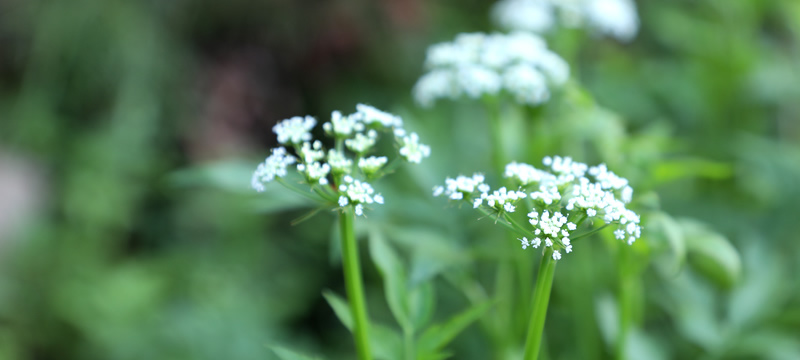 �������������Ϣ��������16+73��������ز�����и