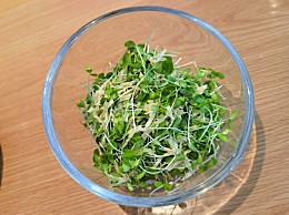 吃了菊粉后皮肤痒是啥情况？吃菊粉为什么皮肤痒？