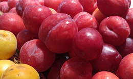 �Լ����θ��?