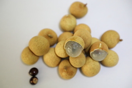 ��������θ�����Ļ������?