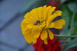 �Խ����ϻ��ǽ��� �����Խ��Ӳ��ϻ�