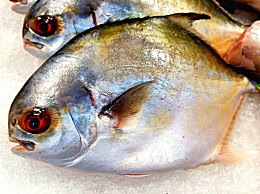 梭鱼能和红薯一起吃么？梭鱼红薯同吃有冲突吗？