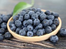 蓝莓和开心果一起吃吗？开心果蓝莓会有冲突吗？别这样搭配吃了不开心！