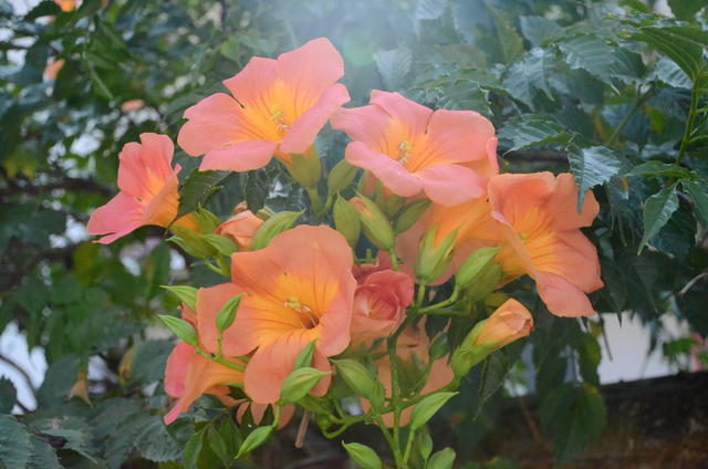 ���r��ʲôҪ�ű�