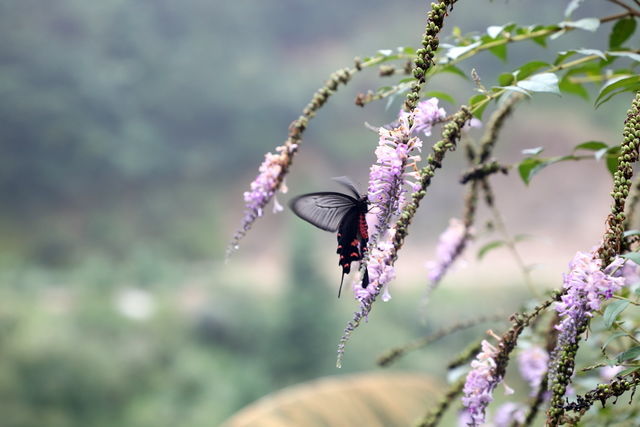 �ٺ���ô�������