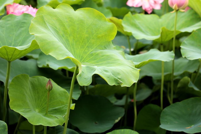 �ٺϿ�������������