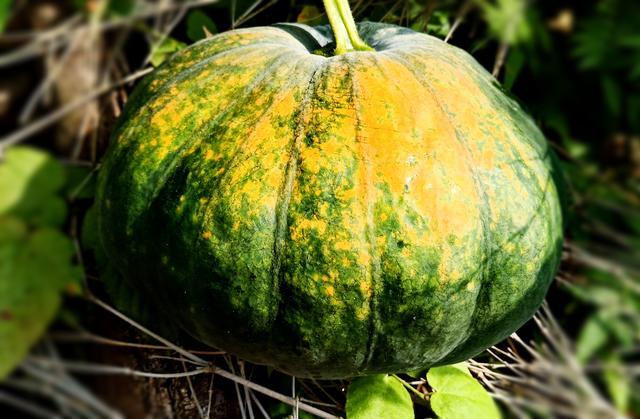 腸胃受傷了自己會好嗎