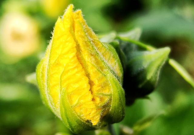 ��״�᳦λ��ʹ�������