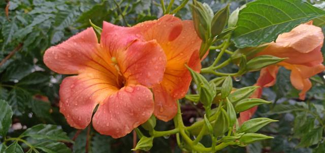 �����ۺ��u����ô�������