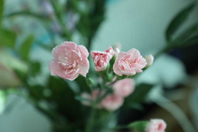 �������i����ô���ó������ֺó�