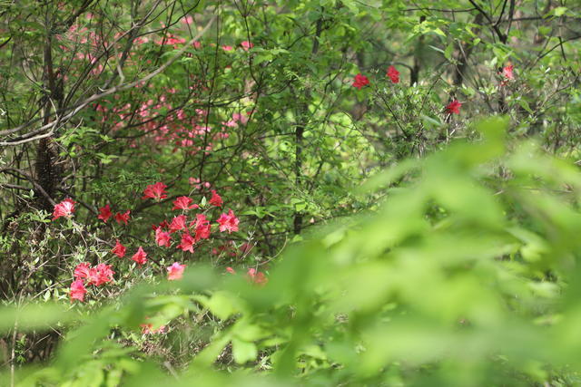 <a href=https://www.shuisutang.com.cn/ target=_blank class=infotextkey>ˮ����</a>