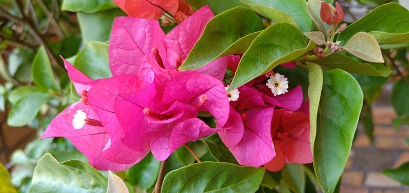 �Է�����ͷ��ô��