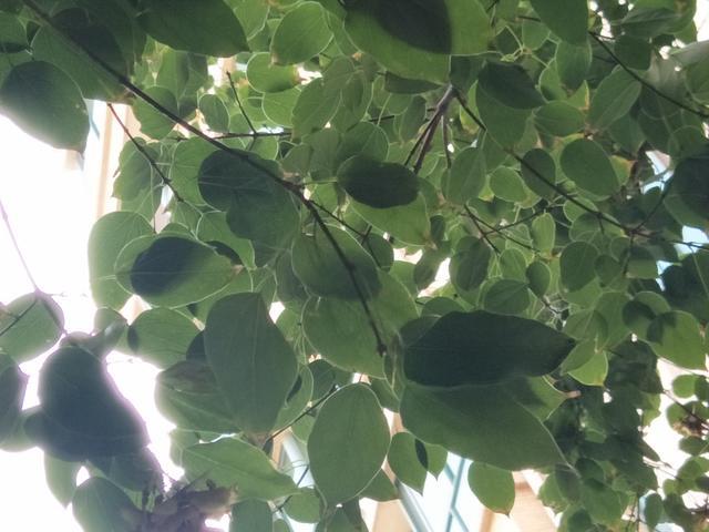 ��θ��һֱ������ô��