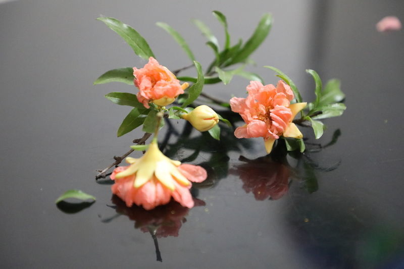 ţ�ź�ʲôһ�����ȽϺó�