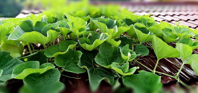 世界杯2022外围预选赛直播