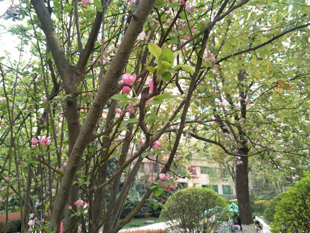 �׷��ͺ����ĸ�������