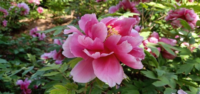 ��θ���û��������