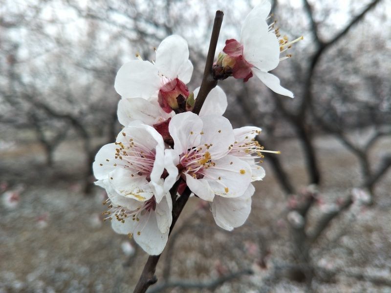 <a href=https://www.shuisutang.com.cn/ target=_blank class=infotextkey>ˮ����</a>