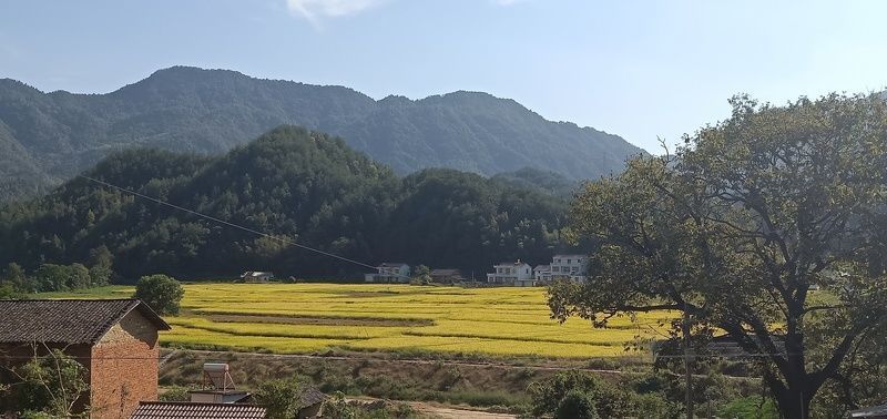 ţ�����ţ����ô��ó�