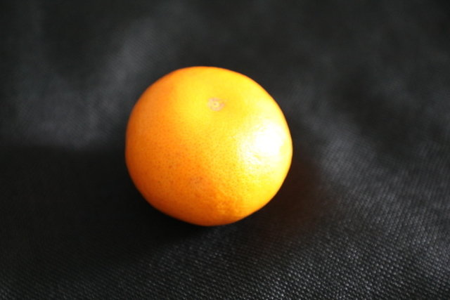 �����ӵĺô�������