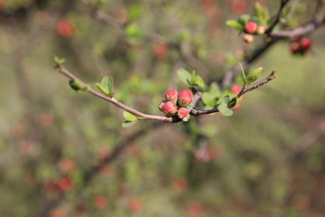 Ƣθ���c�^����ȥ��ʹ