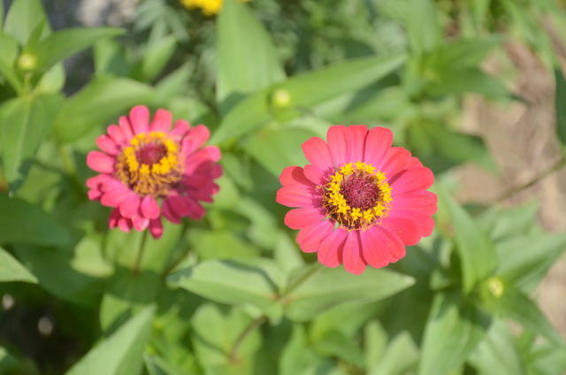 ���籭2022��ΧԤѡ��ֱ��