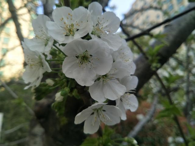 �����������黹��������