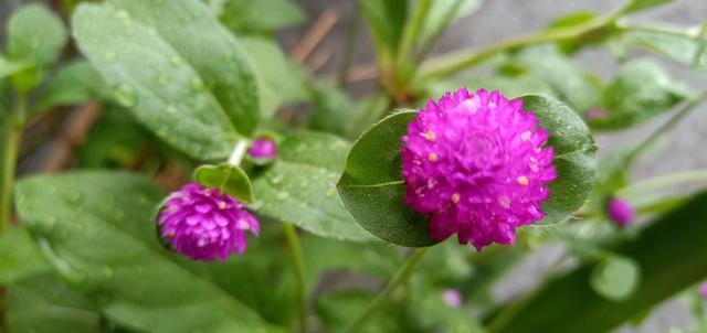 θ������ΰ�Ħ