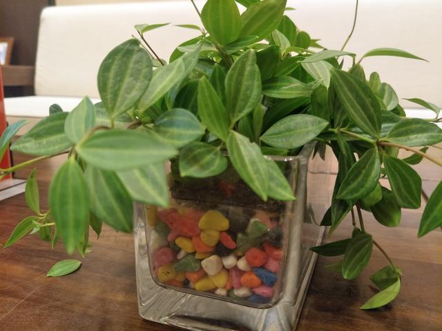 θ���ö���ʲô