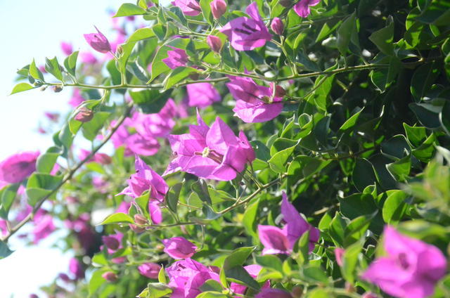 θ�����������ܺ�������