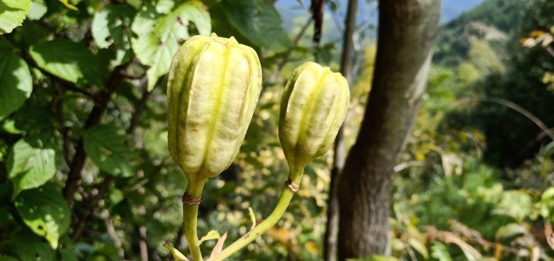 <a href=https://www.shuisutang.com.cn/ target=_blank class=infotextkey>ˮ����</a>