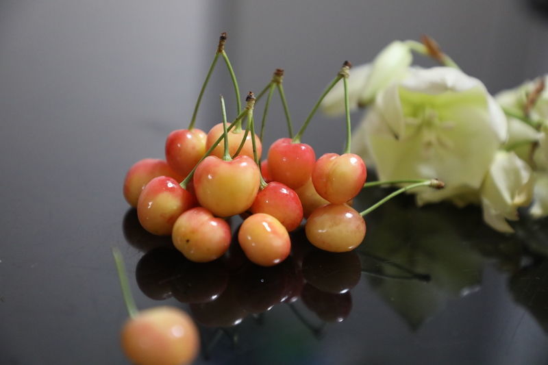 <a href=https://www.shuisutang.com.cn/ target=_blank class=infotextkey>ˮ����</a>