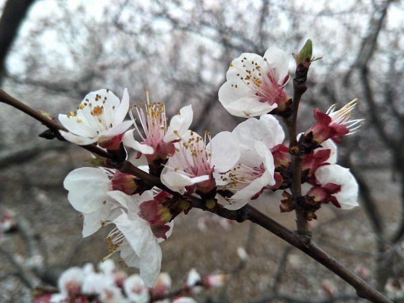 ��θ������һ��Լ���