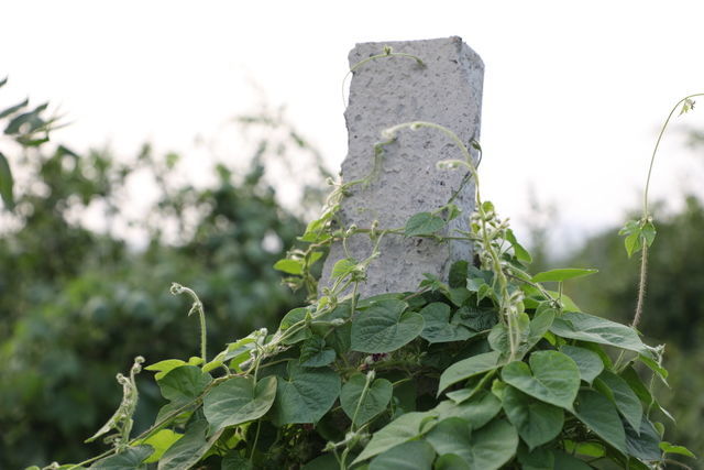 ����������������䷽