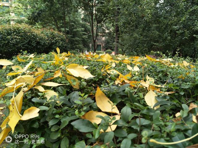 <a href=https://www.shuisutang.com.cn/ target=_blank class=infotextkey>ˮ����</a>