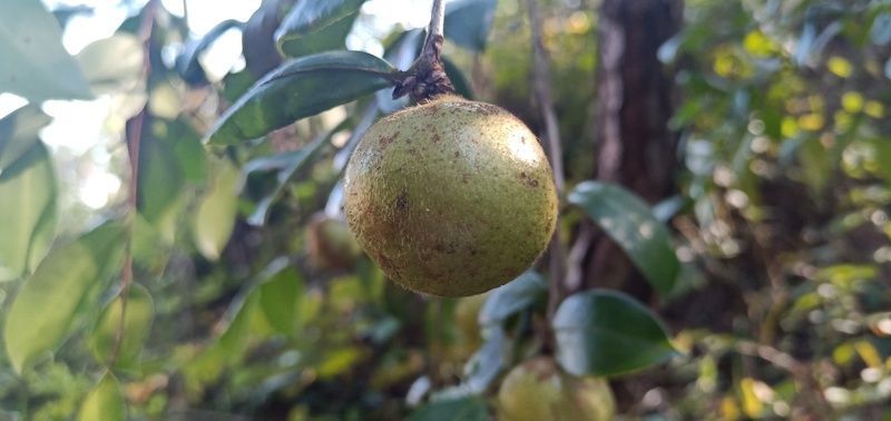 ��������ţ����ô���źó�