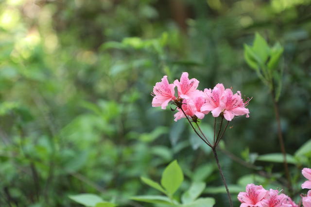 <a href=https://www.shuisutang.com.cn/ target=_blank class=infotextkey>ˮ����</a>