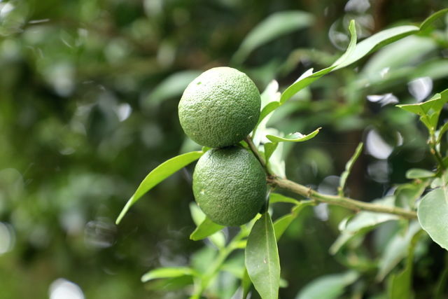 �����������Բ�����ô��