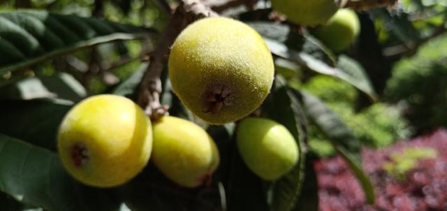 ���ʺ�����ô���ڱ��淽��