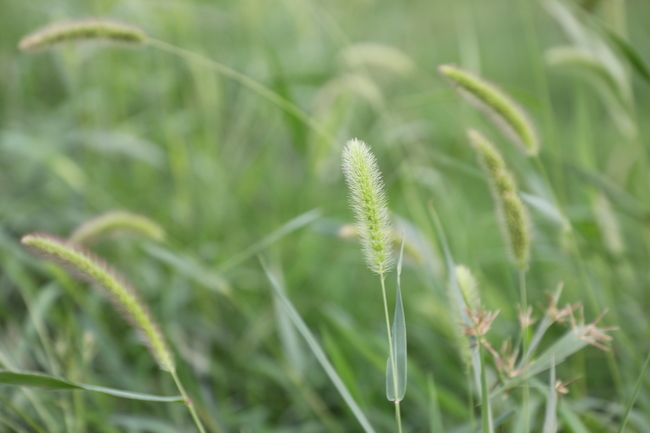 <a href=https://www.shuisutang.com.cn/ target=_blank class=infotextkey>ˮ����</a>