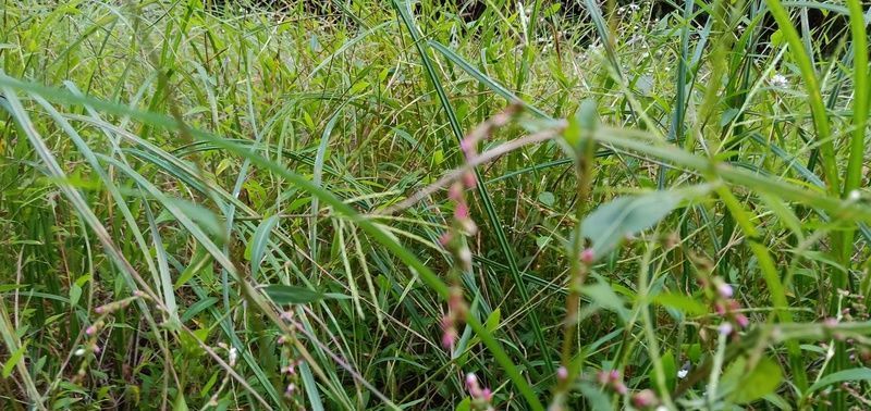 ţ����ô�����ڱ���