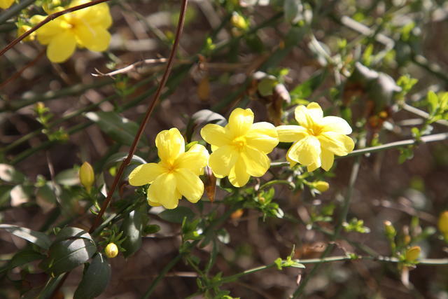 <a href=https://www.shuisutang.com.cn/ target=_blank class=infotextkey>ˮ����</a>