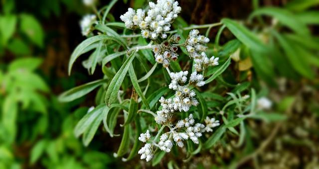 Ƣθ����ô����