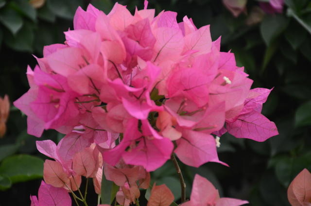 <a href=https://www.shuisutang.com.cn/ target=_blank class=infotextkey>ˮ����</a>