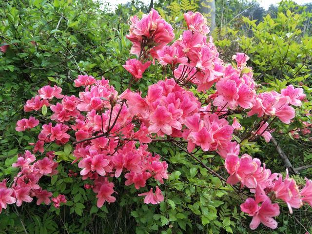 ������������һֱ������ô��